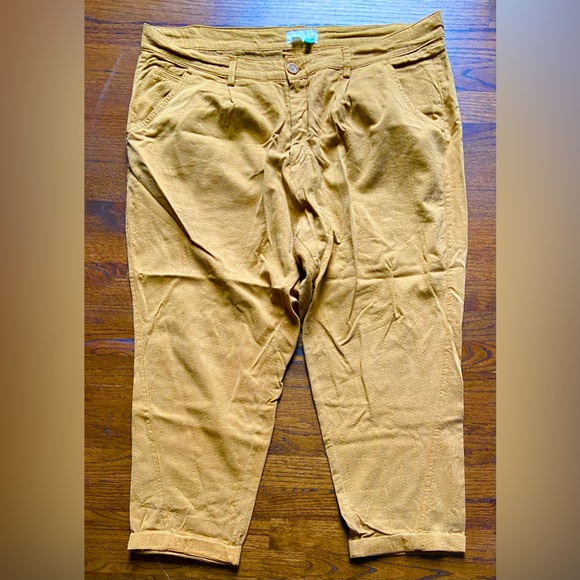 NWOT Anthropologie plus pants - Picture 8 of 11